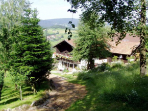Cosy holiday home in Kollnburg with garden Achslach